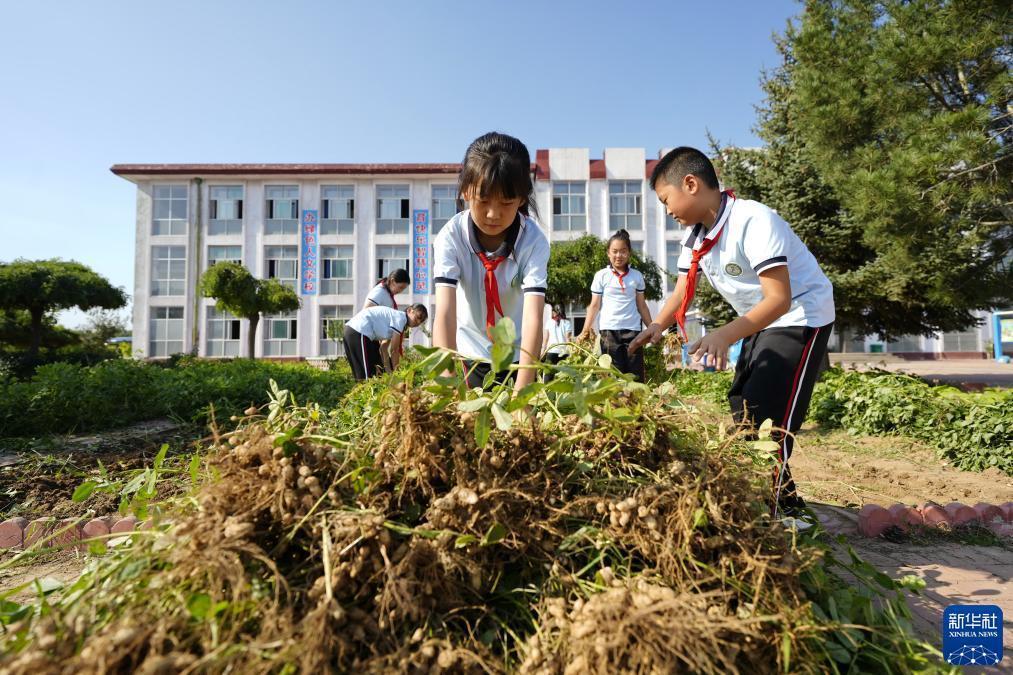利记娱乐怎么样